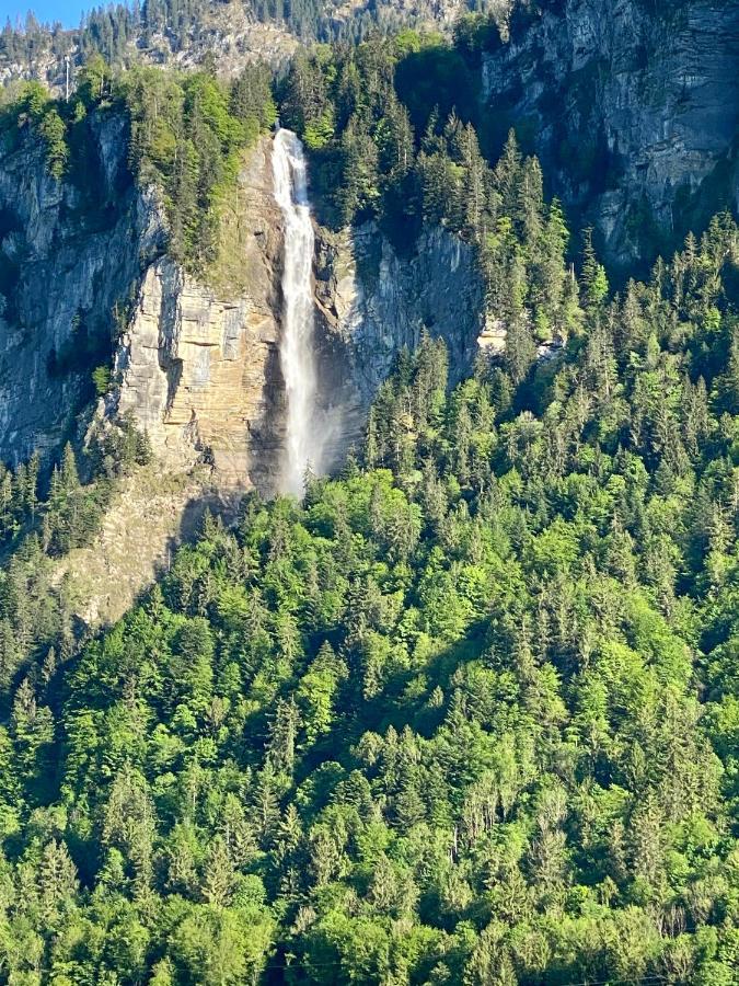 Aareschlucht- Grandiose Aussicht Fuer 2-6 Pers. *